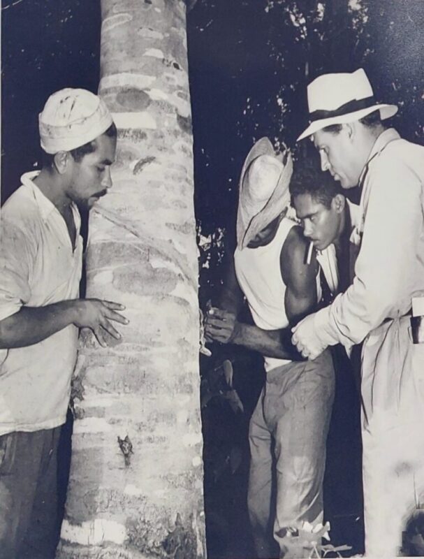 Aspecto tomado durante aula de sangria da seringueira ministrada pelo técnico norte-americano Harold Gustin. Seringal Miry, 1943. Foto de Thomas D. McAvoy (acervo pessoal de Abrahim Baze) 